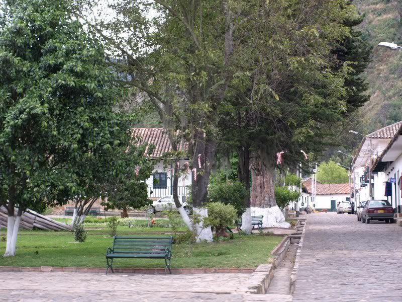 P1177776.jpg