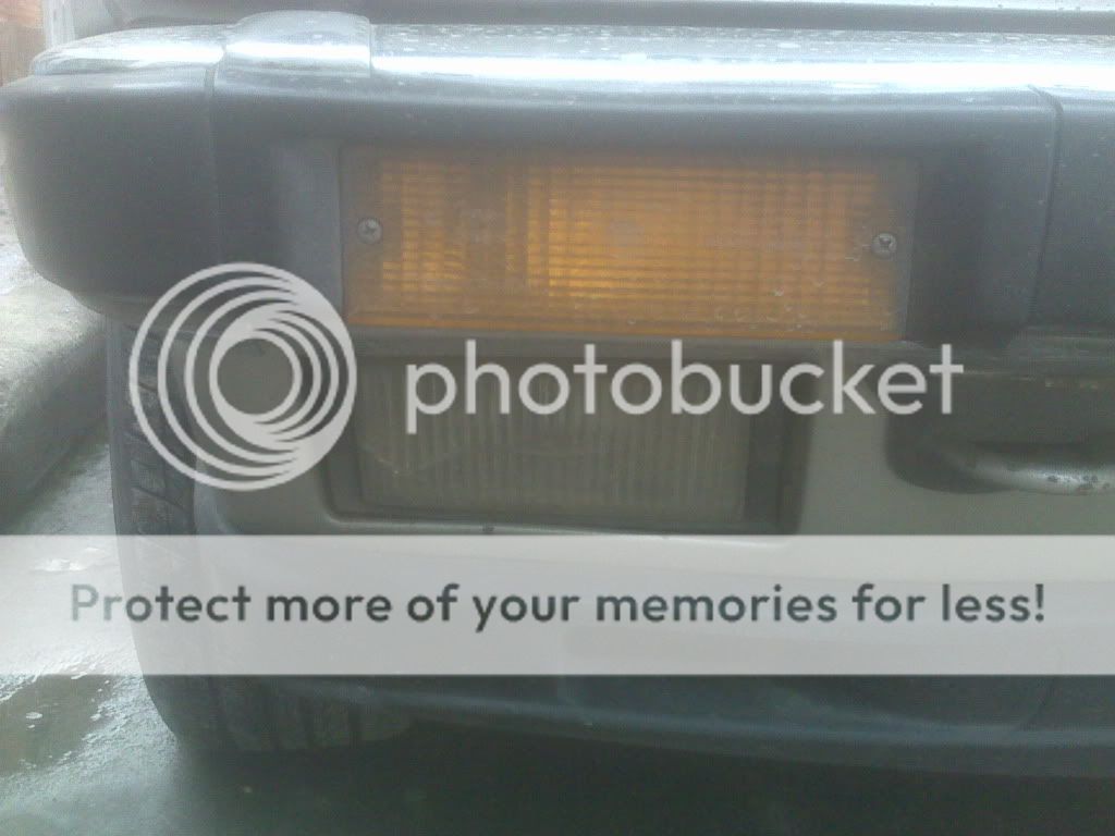 IMG00533.jpg