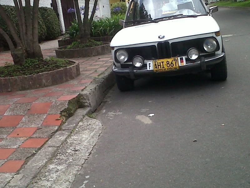 IMG00159-20111125-1202.jpg