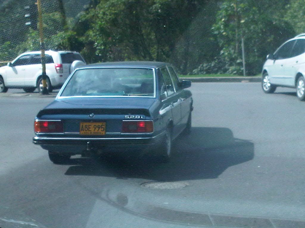 IMG00669-20111007-0854.jpg