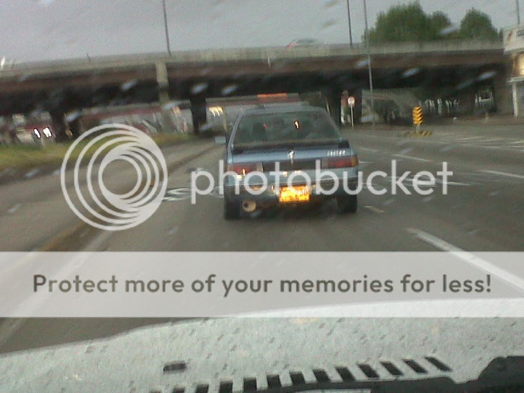 IMG00280-20110815-1747.jpg