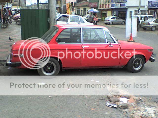 DSC02411.jpg