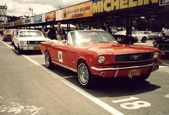 mustangspits11.jpg