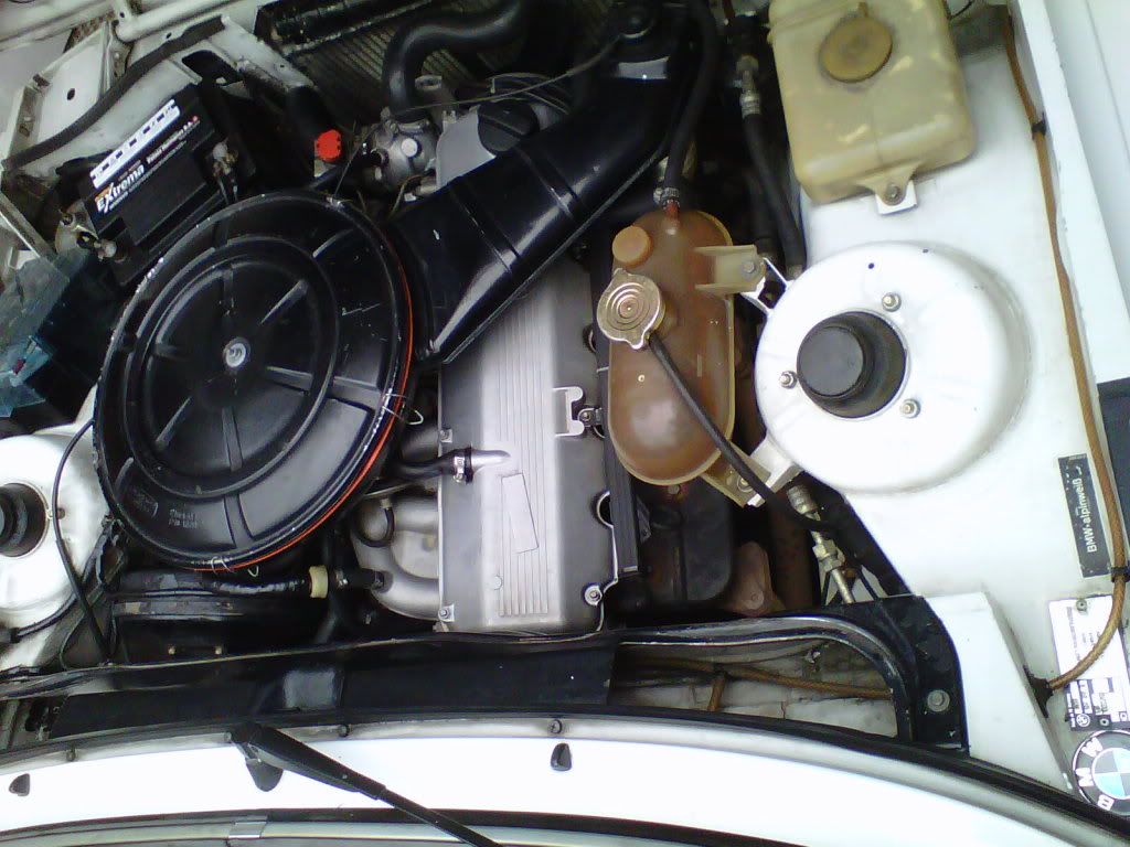 IMG00410-20110529-1003_zpsc216921e.jpg