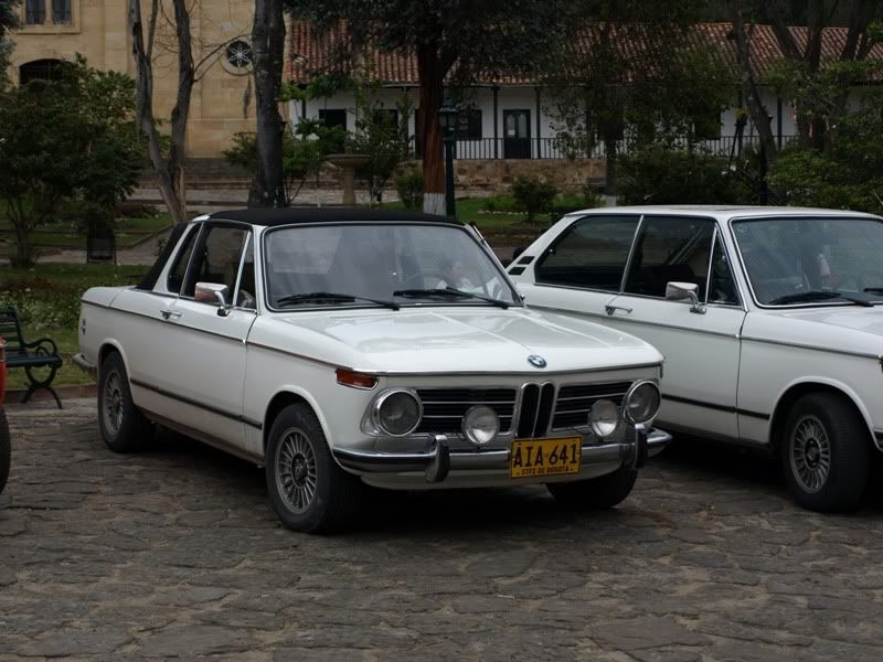 P1177838.jpg