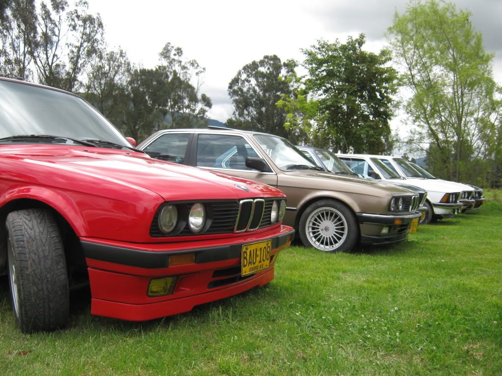 varios5094.jpg