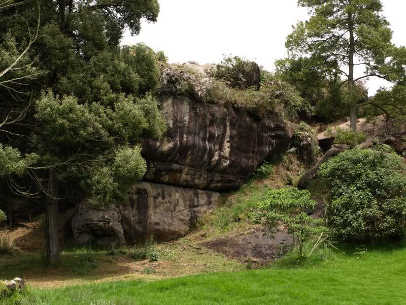 P7111663.jpg