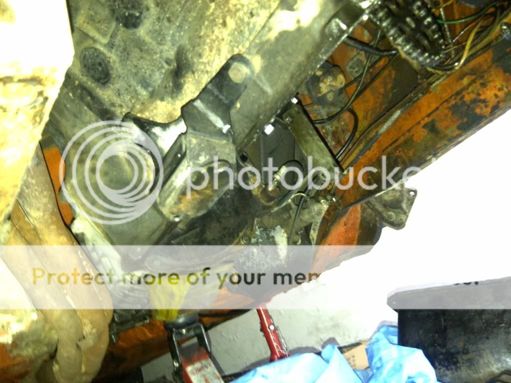 IMG-20110824-00419.jpg