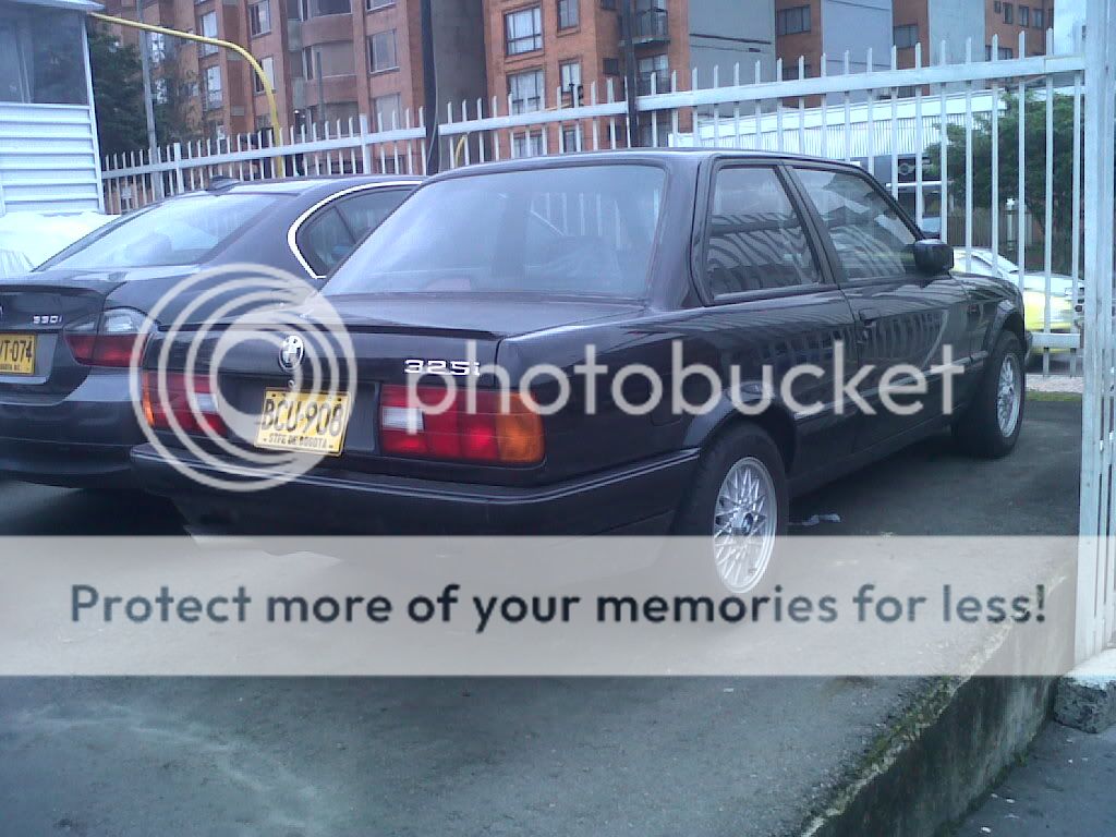 IMG01123-20111116-1650.jpg