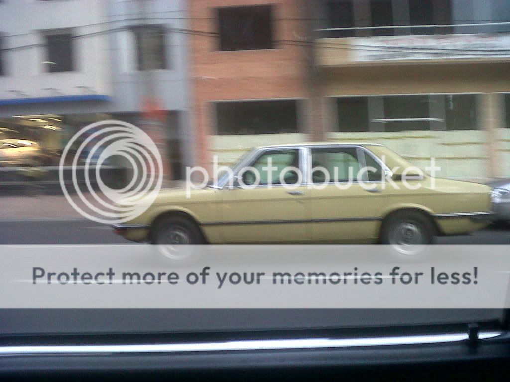 IMG00446-20111003-1724.jpg