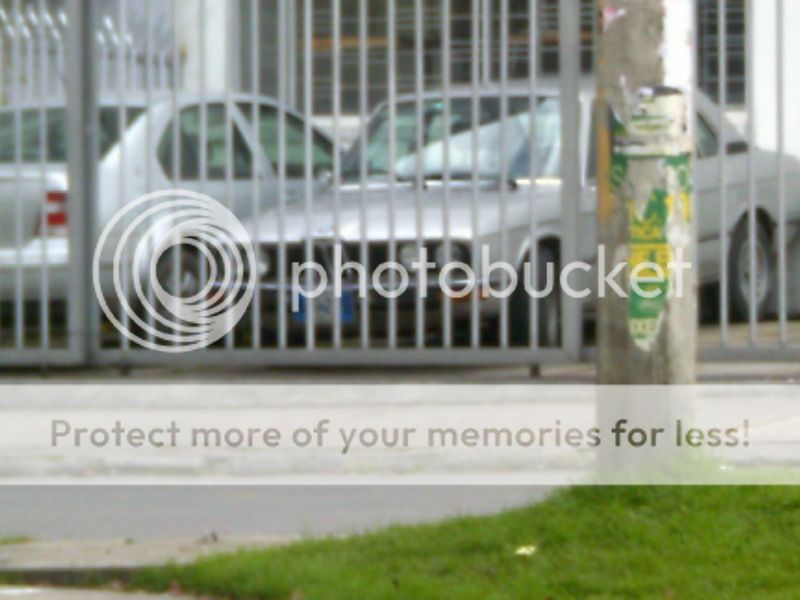 DIC122011003.jpg