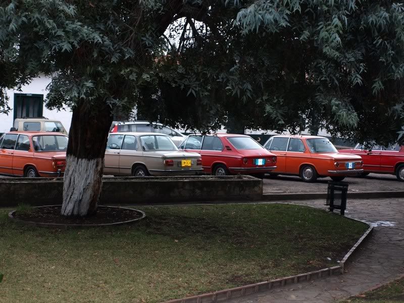 P1177856.jpg