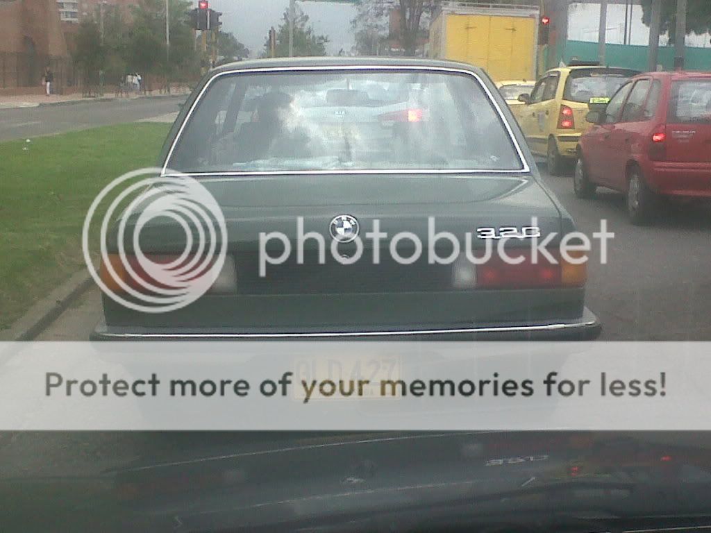 IMG00052-20110524-1121.jpg