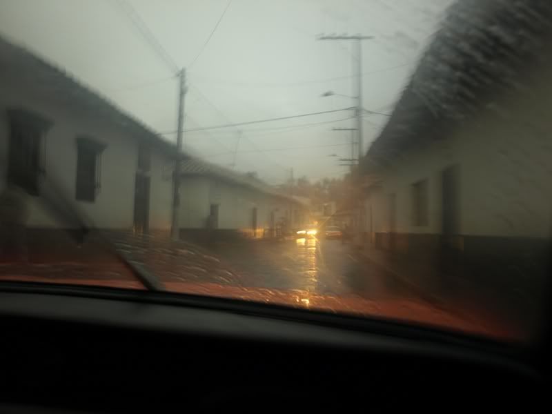 P1177901.jpg