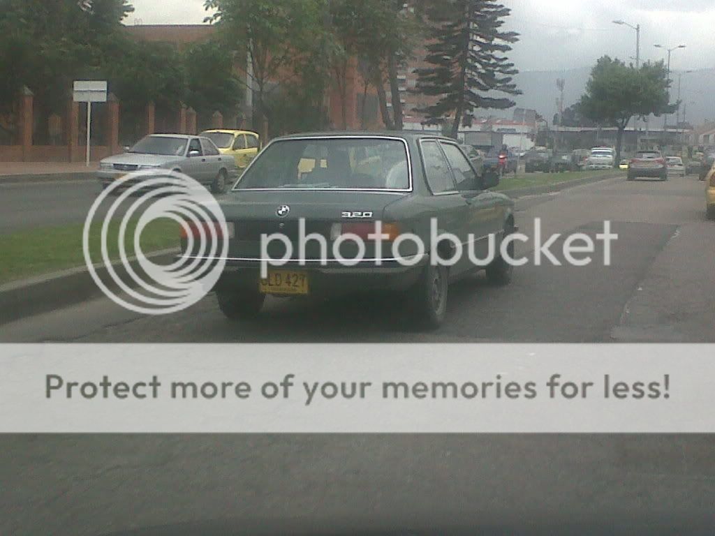 IMG00053-20110524-1121.jpg