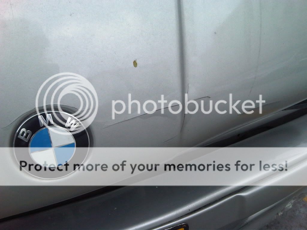 IMG00304-20100505-1201.jpg