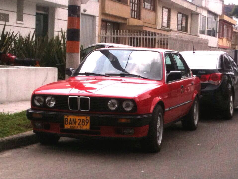 7253d703.jpg