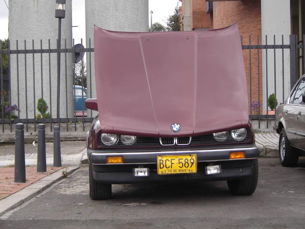 DSC06747.jpg
