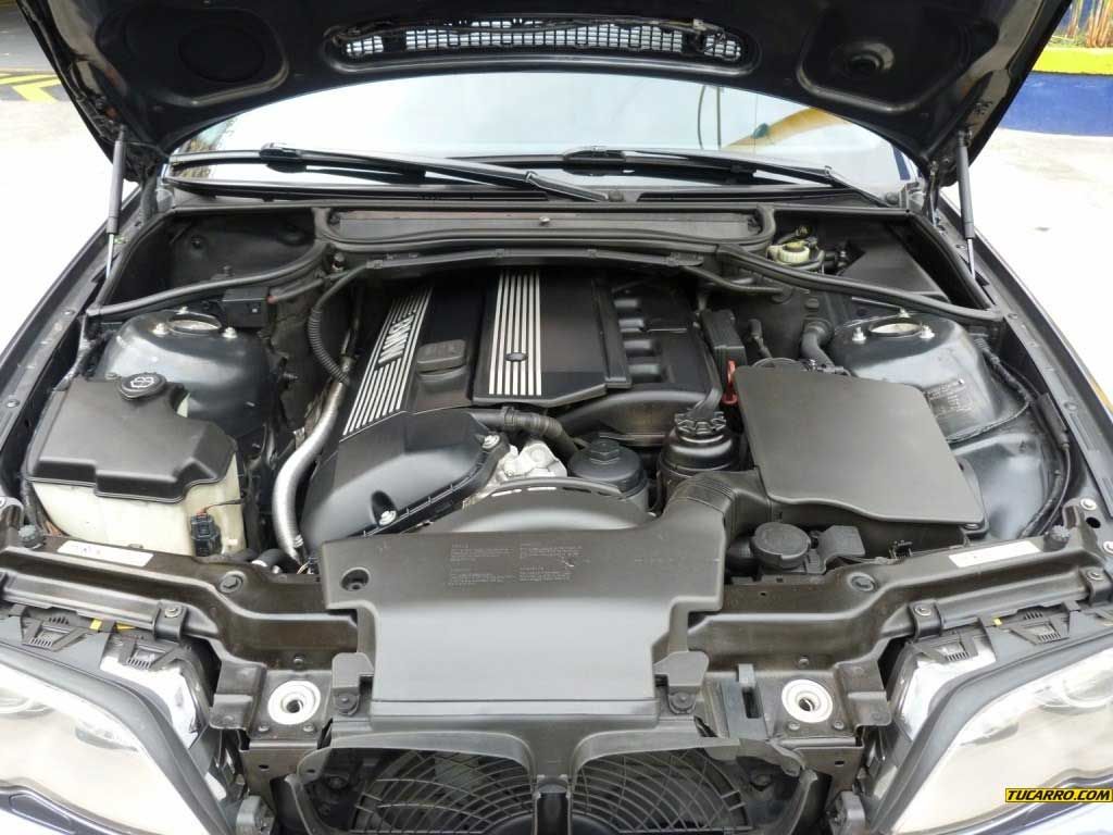 330.jpg