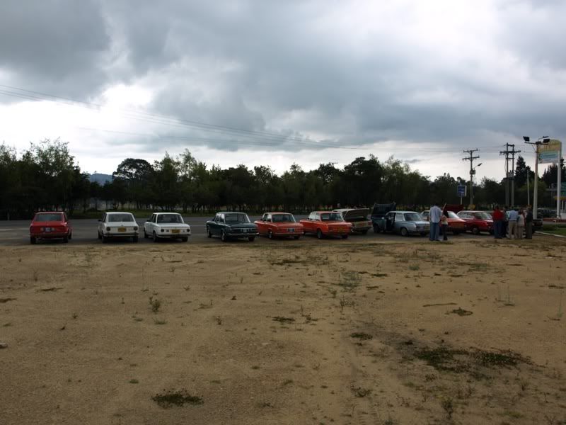 P1177758.jpg