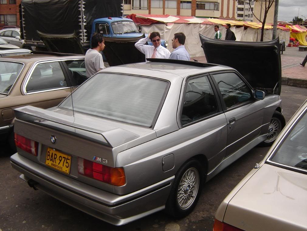 DSC06777-1.jpg