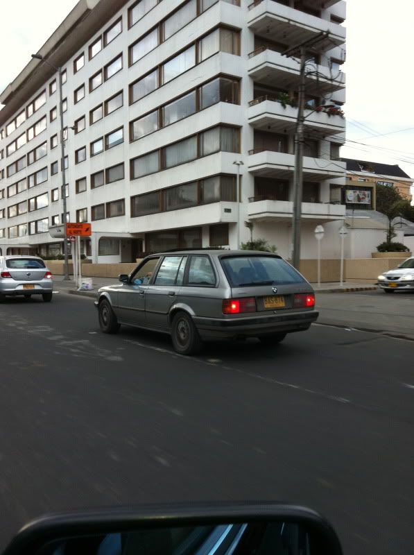 BAS874.jpg