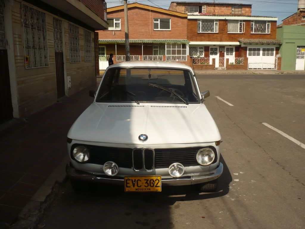 P1050551.jpg